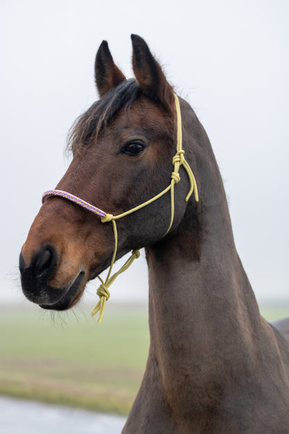 Rope halter with braided noseband pastel yellow, lilac and baby pink