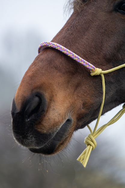Rope halter with braided noseband pastel yellow, lilac and baby pink