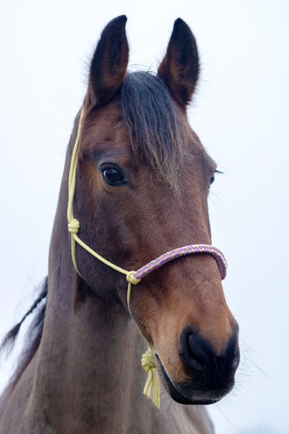 Rope halter with braided noseband pastel yellow, lilac and baby pink