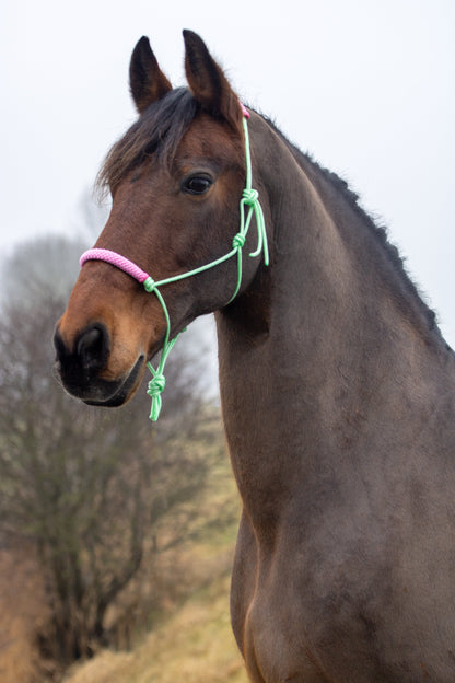 Rope halter pastel mint with baby pink noseband and earband