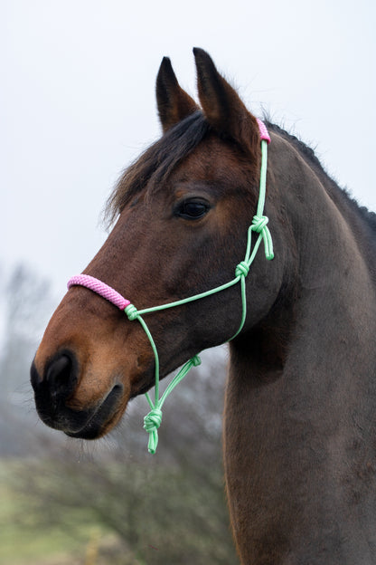 Rope Halter Set Sweet Mint