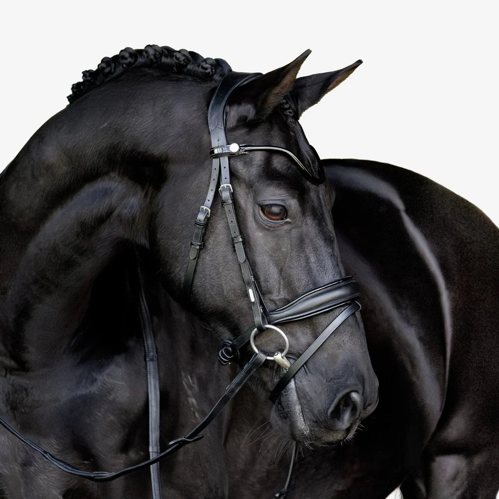 Lumiere - Luxe Hanoverian hoofdstel 'Penny'