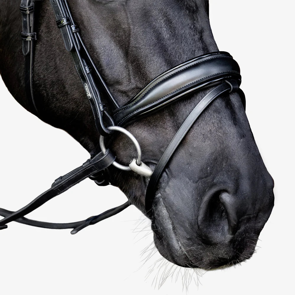 Lumiere - Luxe Hanoverian hoofdstel 'Penny'