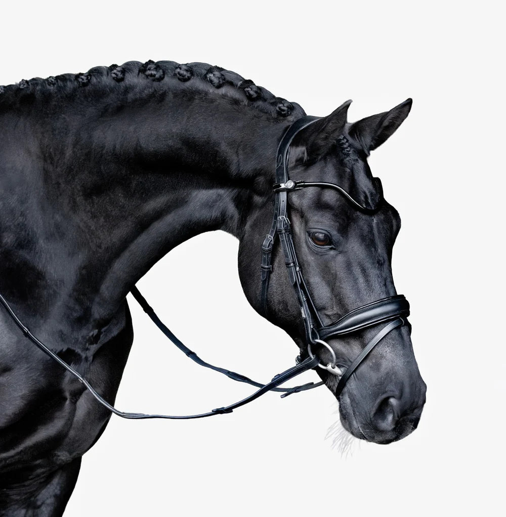 Lumiere - Luxe Hanoverian hoofdstel 'Penny'