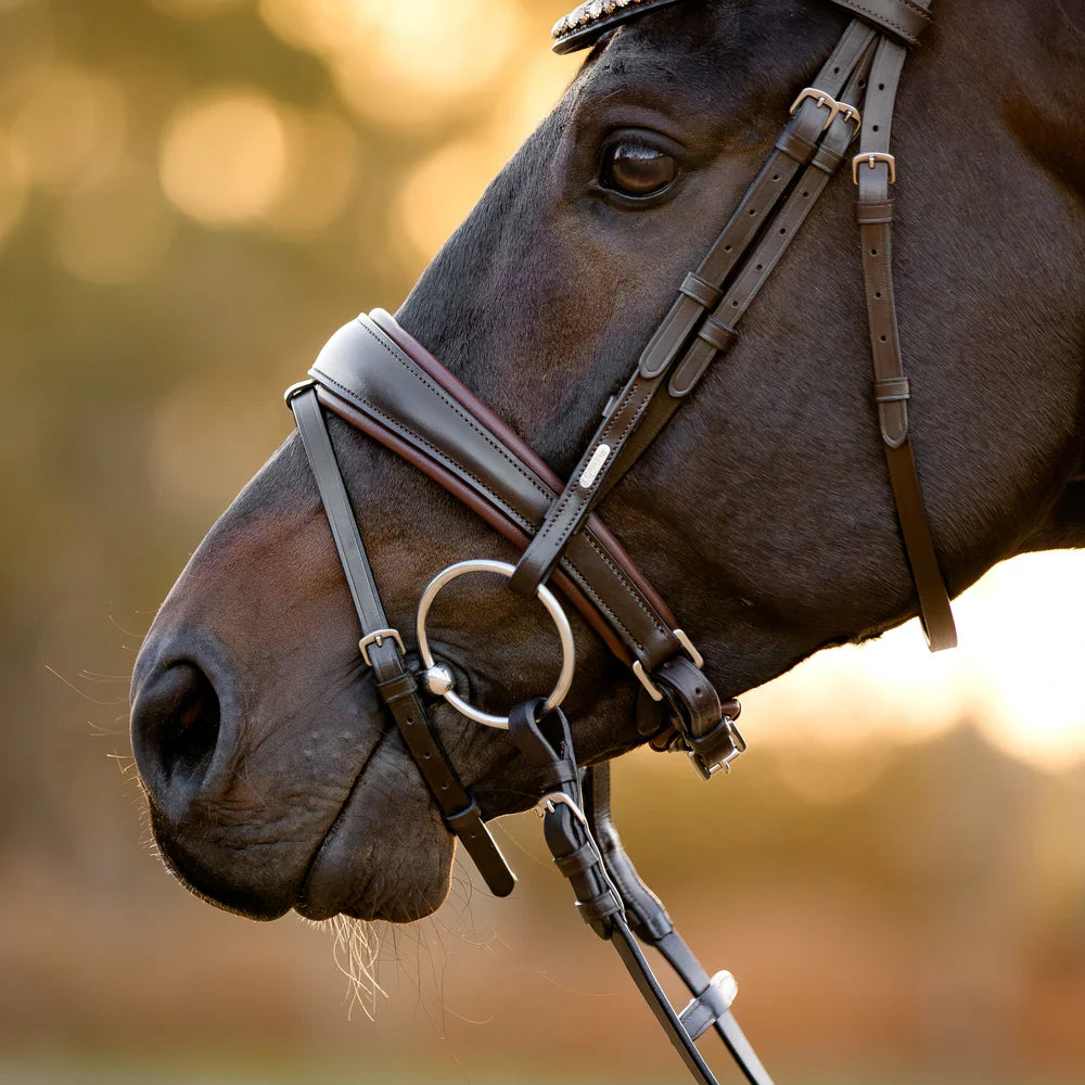 Lumiere - Luxe Hanoverian hoofdstel 'Pippa' Havana