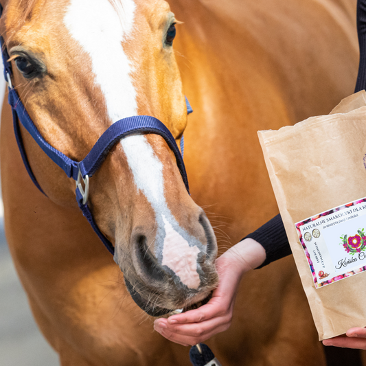 Konska Cukierenka - Natuurlijke fruitige paardenkoekjes 1L zak