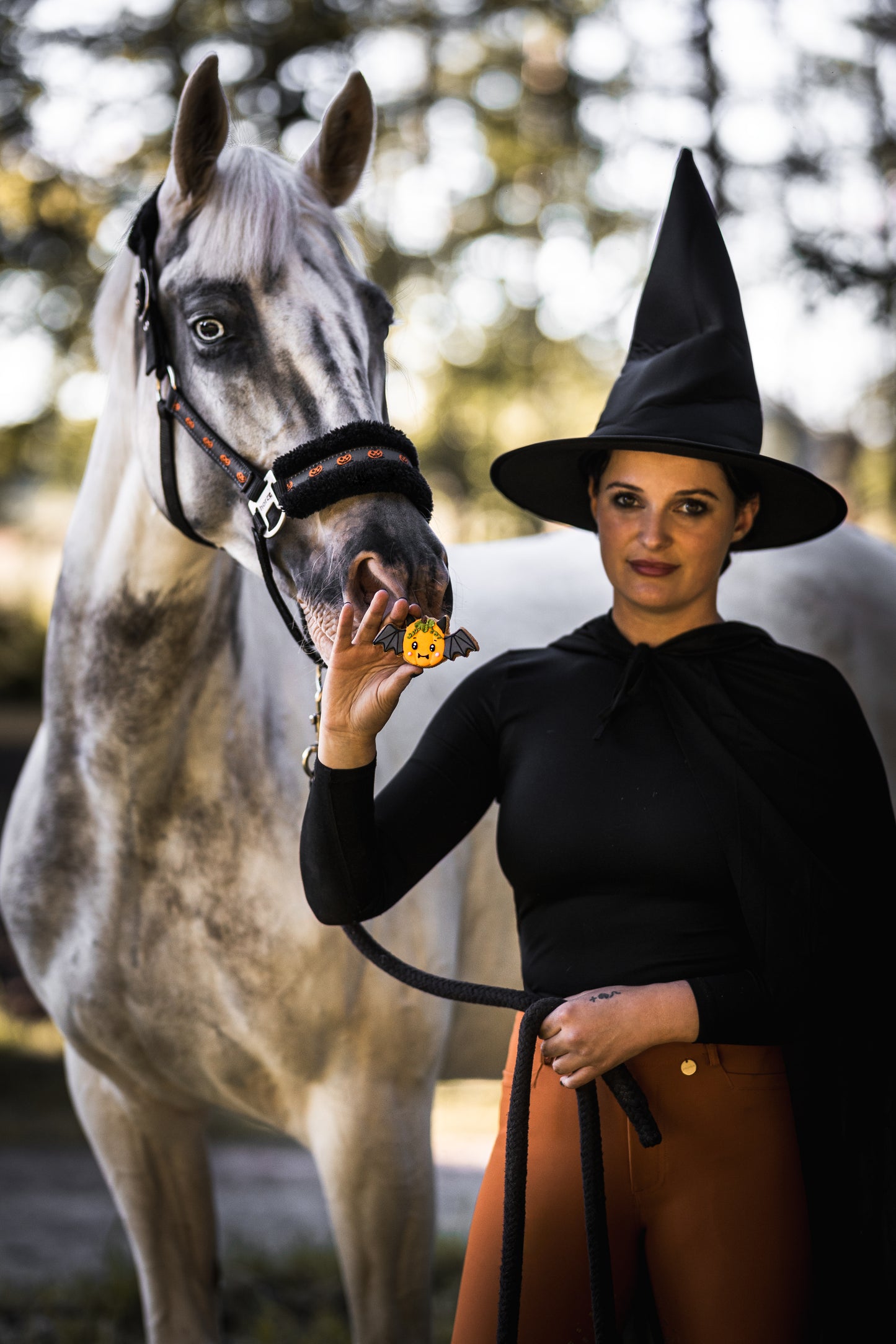 Candy Horse - Halloween Limited Collection - Los koekje