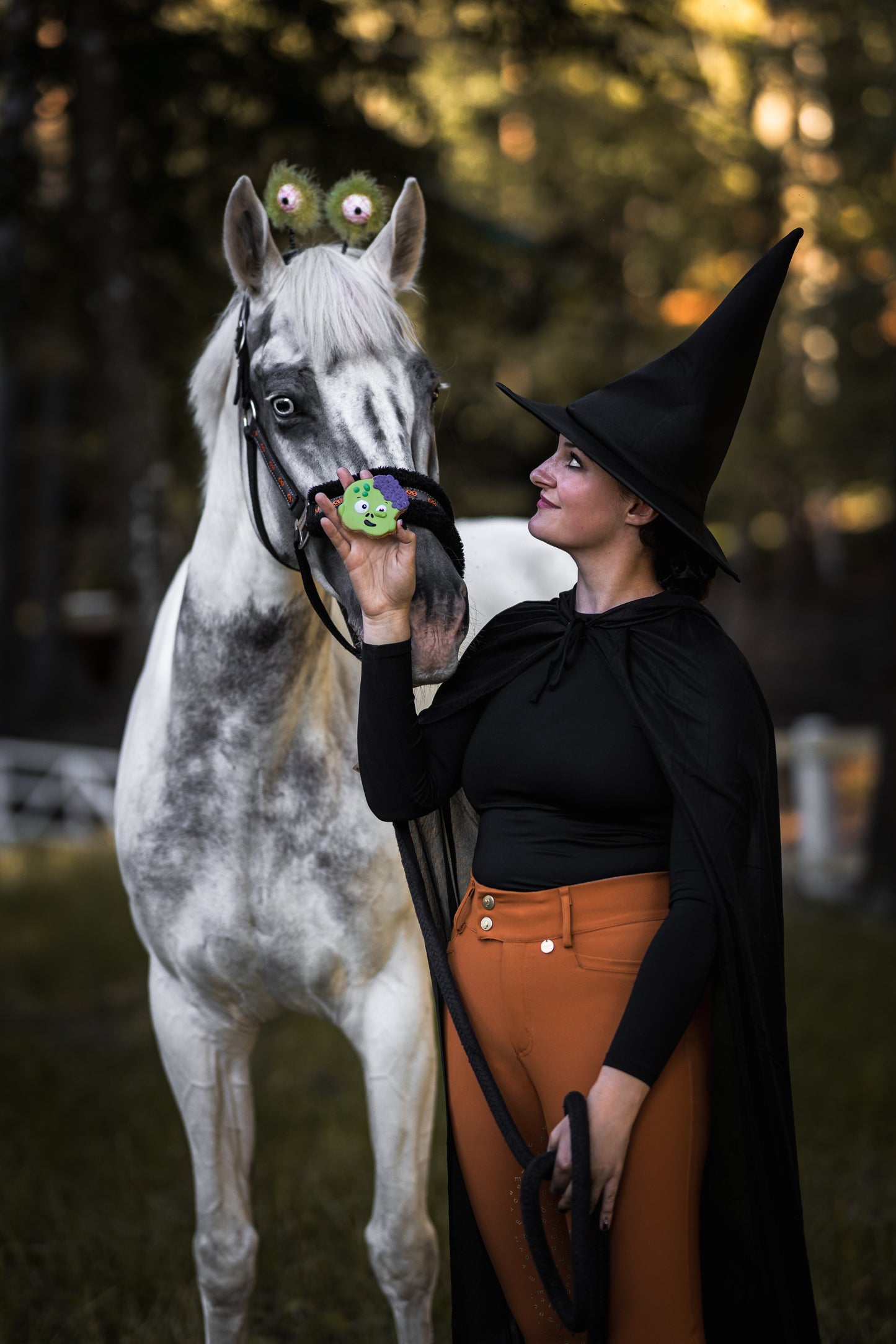 Candy Horse - Halloween Limited Collection - Los koekje