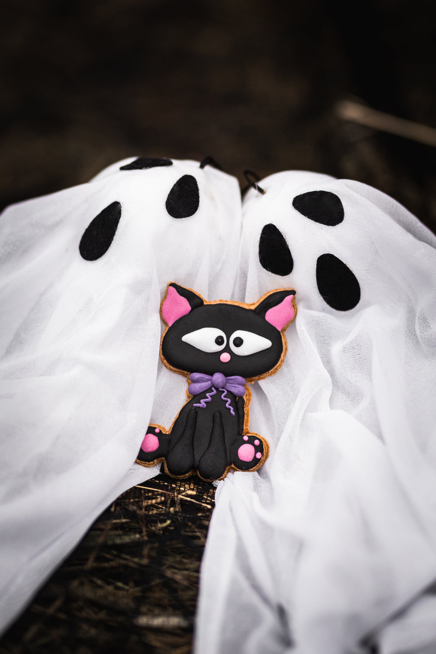 Candy Horse - Halloween Limited Collection - Los koekje