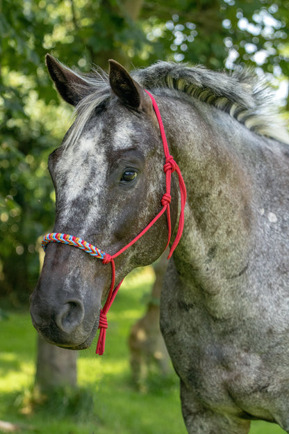 Rope halter braided noseband raspberry, ocean blue and caramel