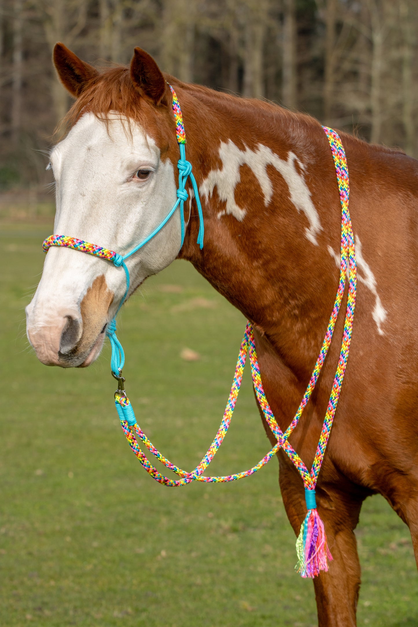 Rope holster set rainbow vibes
