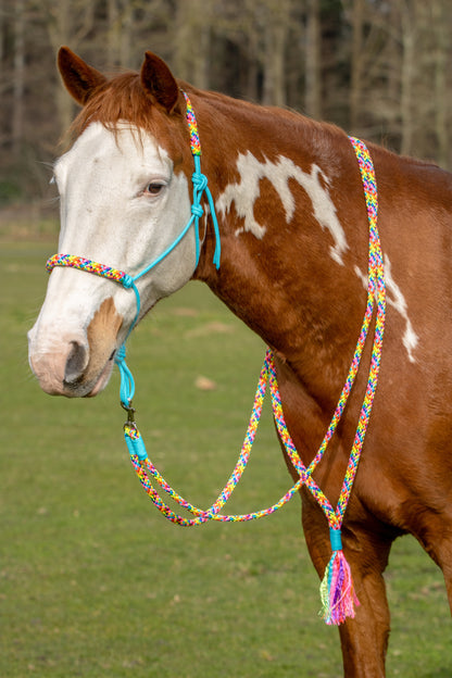 Rope holster set rainbow vibes