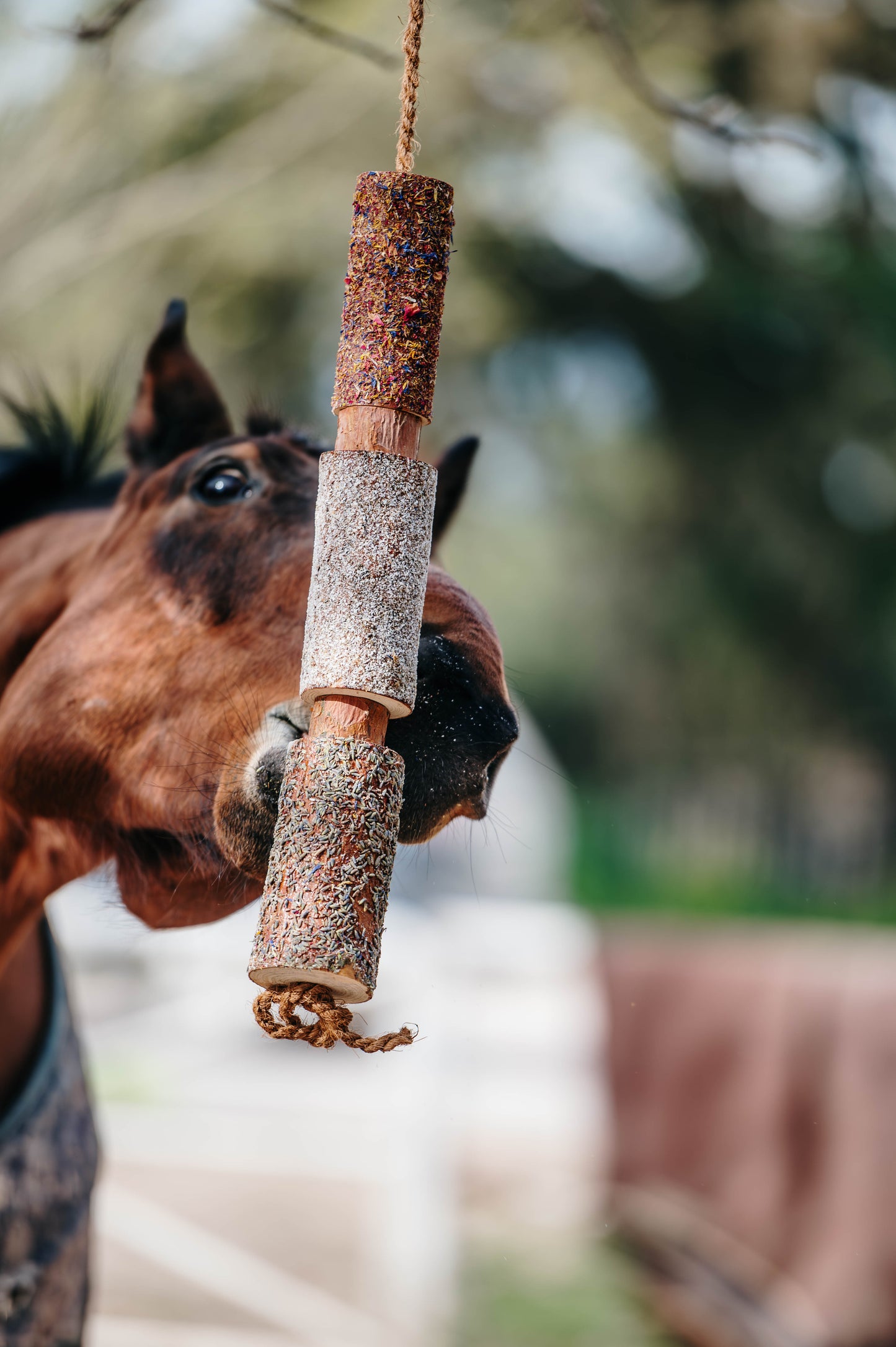 Herbi Horse - Houten speeltouw met kruiden (diverse)