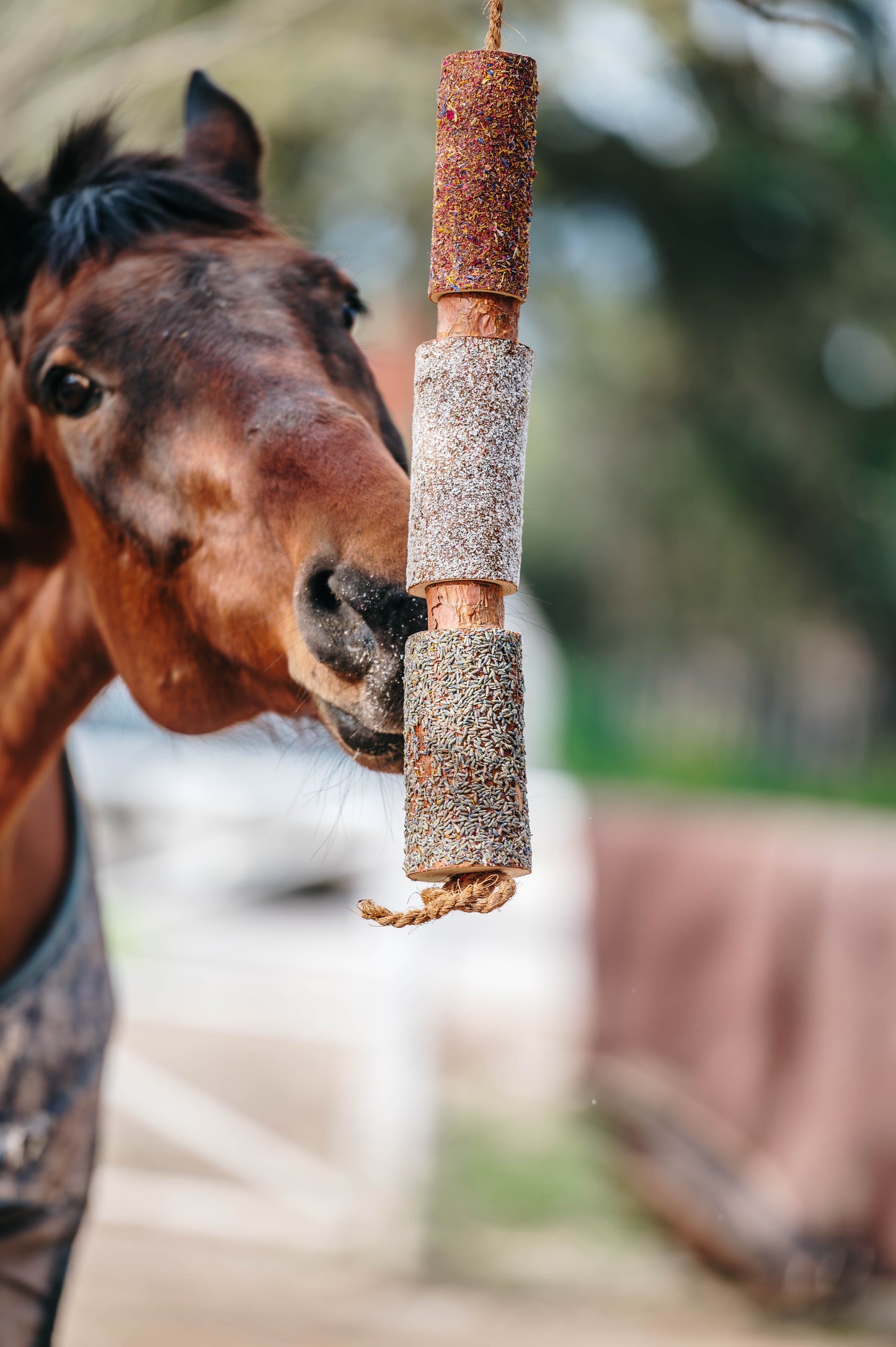 Herbi Horse - Houten speeltouw met kruiden (diverse)