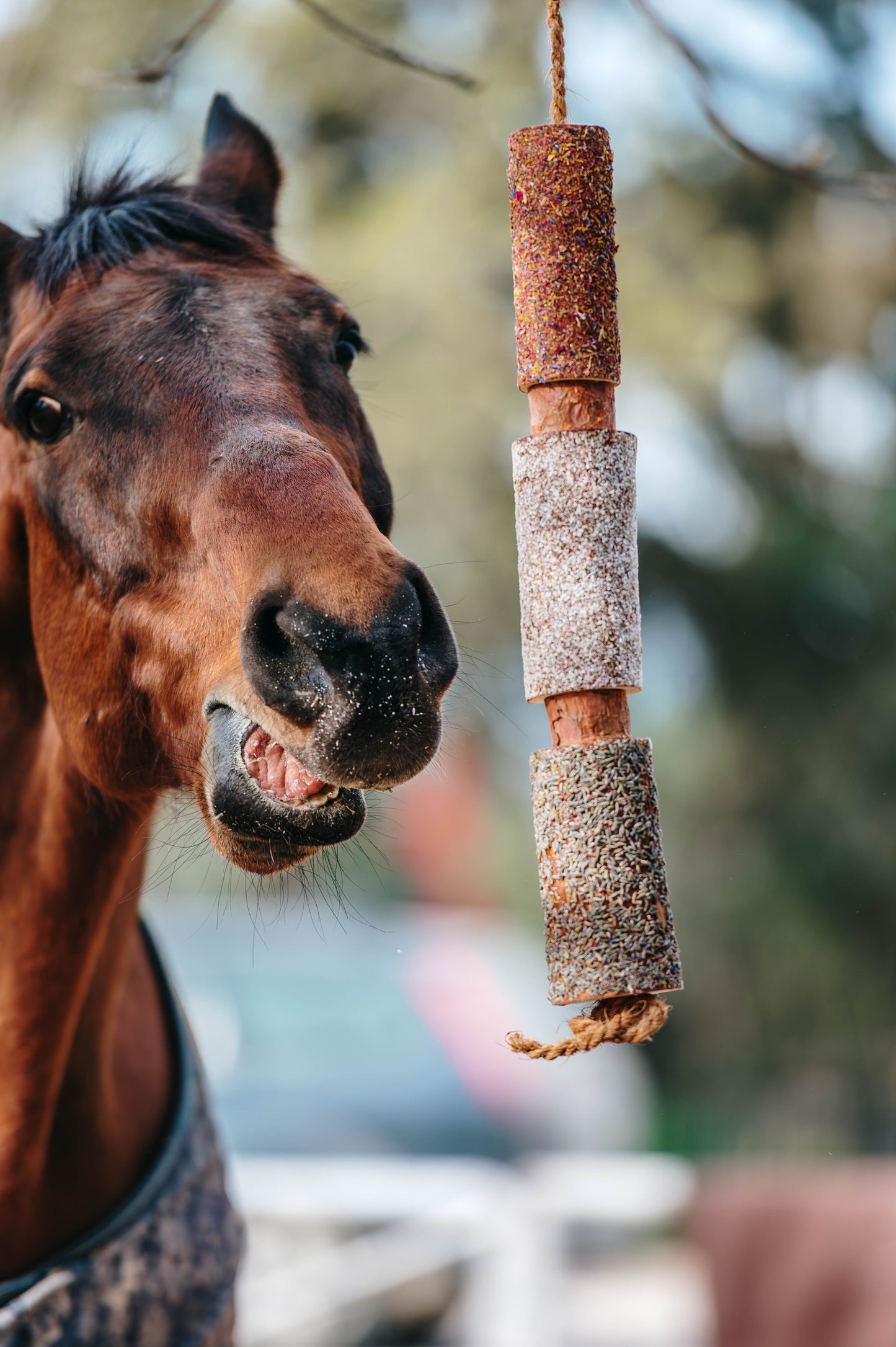 Herbi Horse - Houten speeltouw met kruiden (diverse)