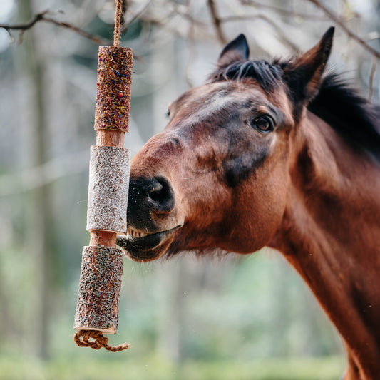 Herbi Horse - Houten speeltouw met kruiden (diverse)