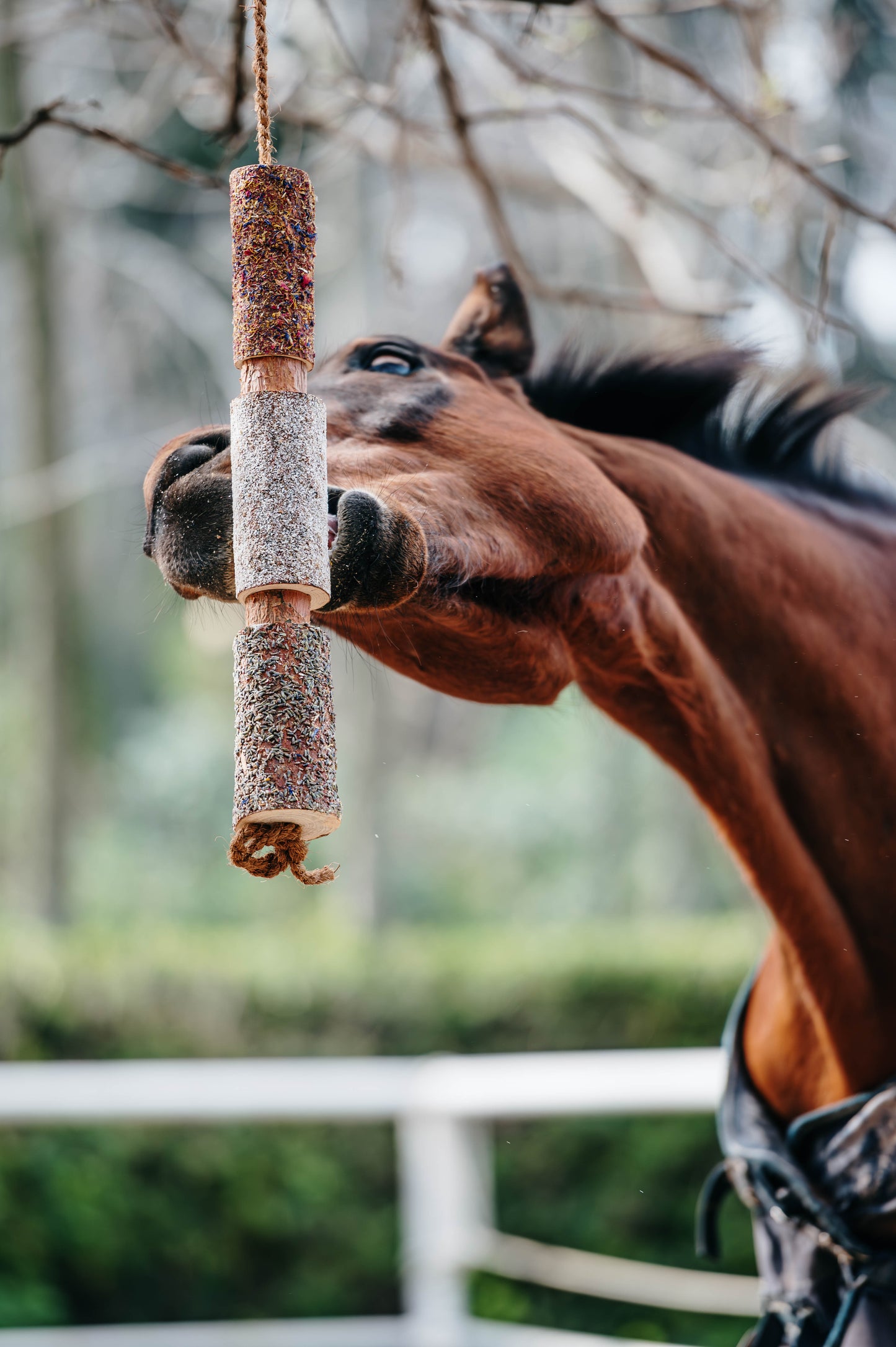 Herbi Horse - Houten speeltouw met kruiden (diverse)