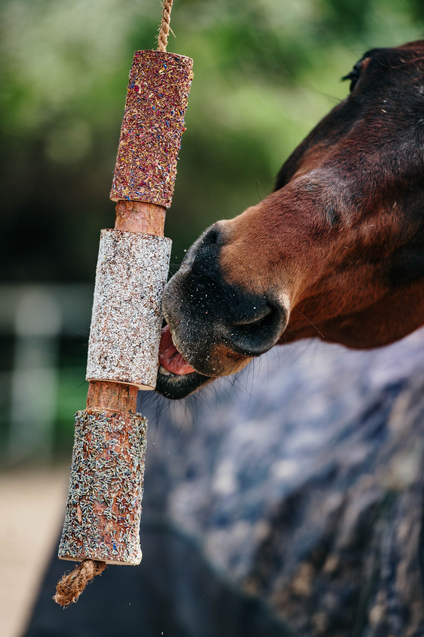 Herbi Horse - Houten speeltouw met kruiden (diverse)
