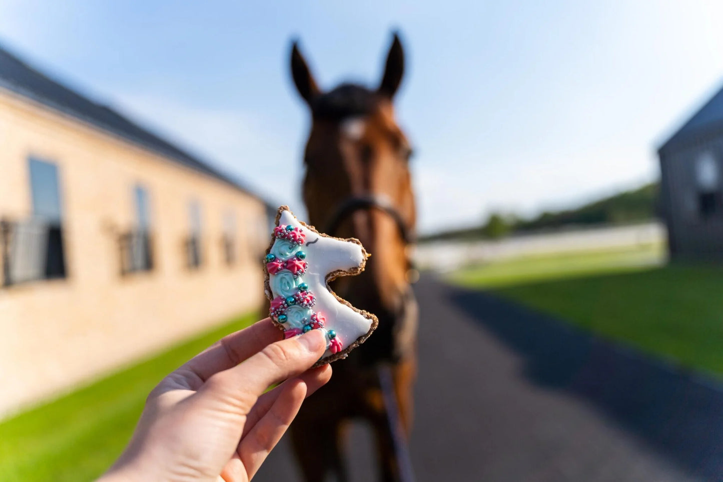 Konska Cukierenka - Luxe Paardenkoekje Unicorn Eenhoorn