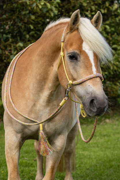 Touwhalsterverkoop - Tauhalfter Set Reithalfter + Zügel + Halsschlaufe 'Rainbow Dash' pastellgelb/regenbogen
