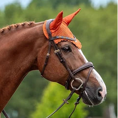 Equestrian Stockholm - FW26 Chestnut - Ear Bonnet Satin oornetje