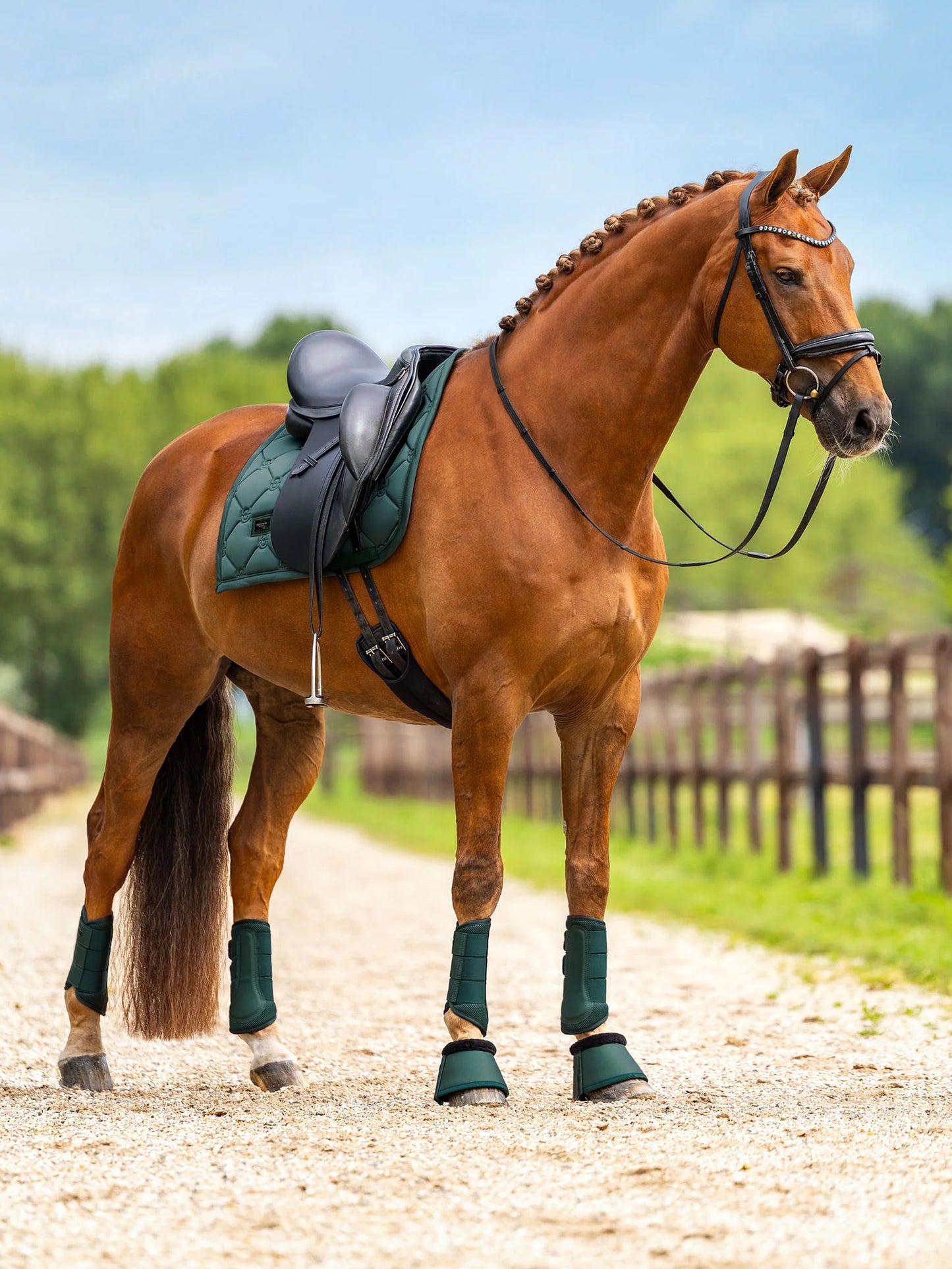 Equestrian Stockholm - FW26 Sycamore Green - Mesh Brushing Boots beenbeschermers
