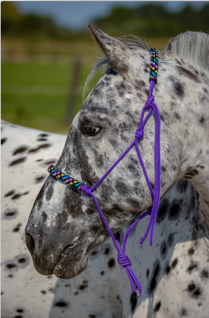 Rope halter purple with disco noseband and earband