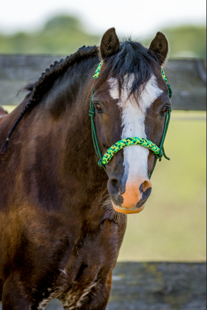 Rope halter dark green with green mix noseband and earband