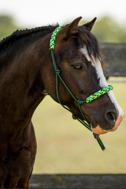 Rope halter dark green with green mix noseband and earband
