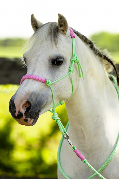 Rope halter pastel mint with baby pink noseband and earband