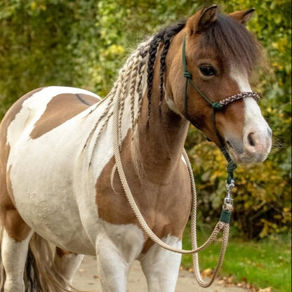 Rope halter sale - Rope halter set riding halter + reins 'In the Woods' dark green/ beige