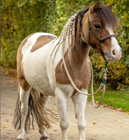 Rope halter sale - Rope halter set riding halter + reins 'In the Woods' dark green/ beige