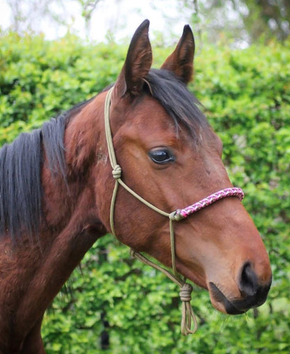 Touwhalsterverkoop - Geflochtenes Tauhalfter ‘Tough Girl’ army/rosa
