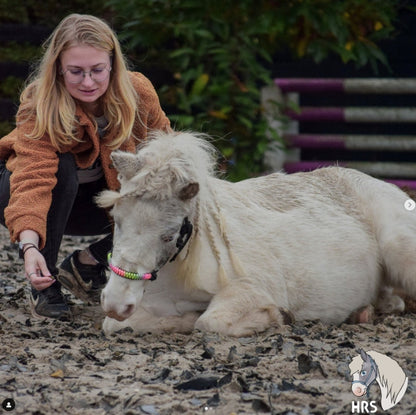 Het Paardenatelier - Tauhalfter Regenbogen ‘Black Rainbow’