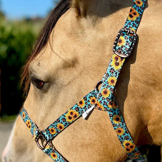 OP=OP - Schulz Equine - Halster Wild sunflower