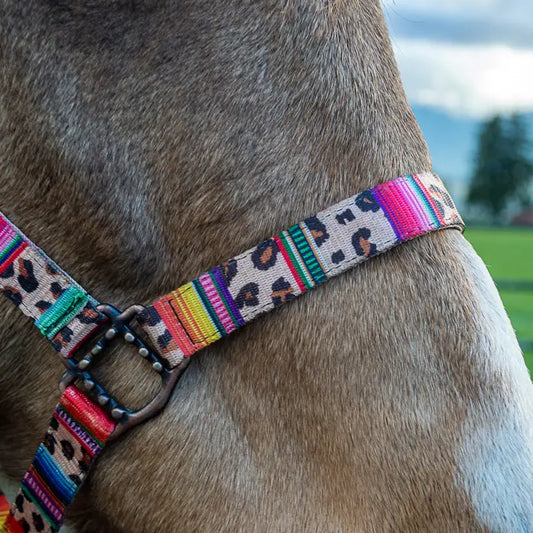 Schulz Equine - Halster Leopard serape