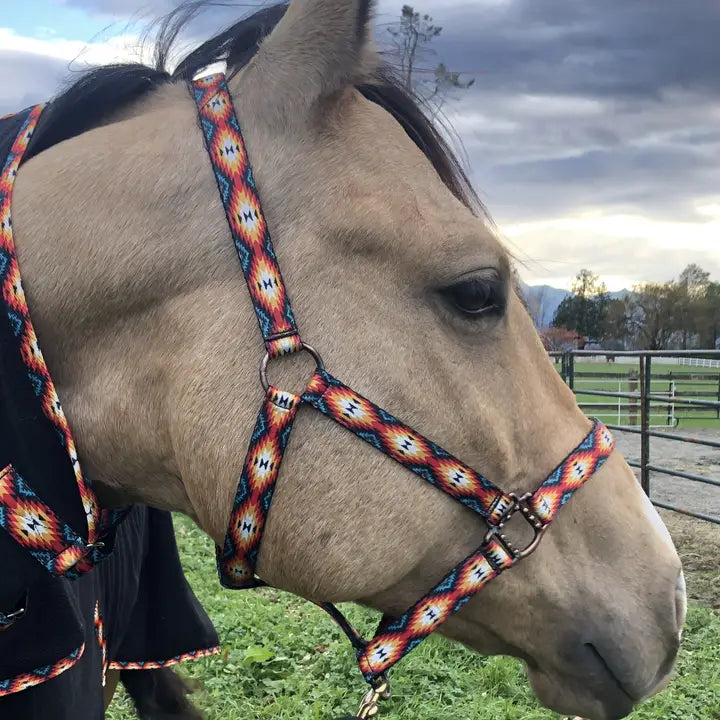 OP=OP - Schulz Equine - Halster Sunset aztek