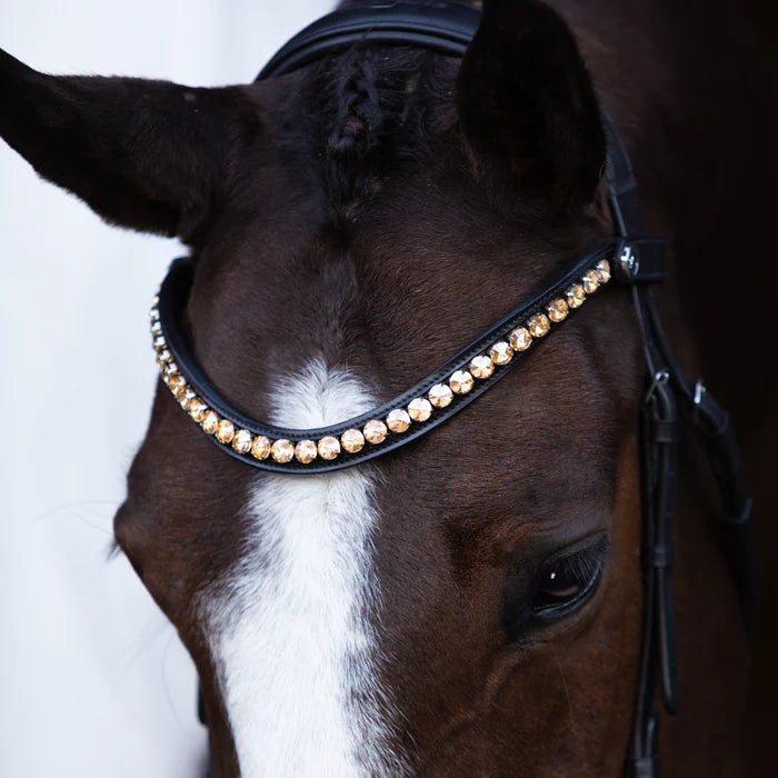 Lumiere - Seline bitless bridle