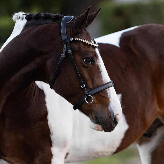 Lumiere - Seline bitless bridle