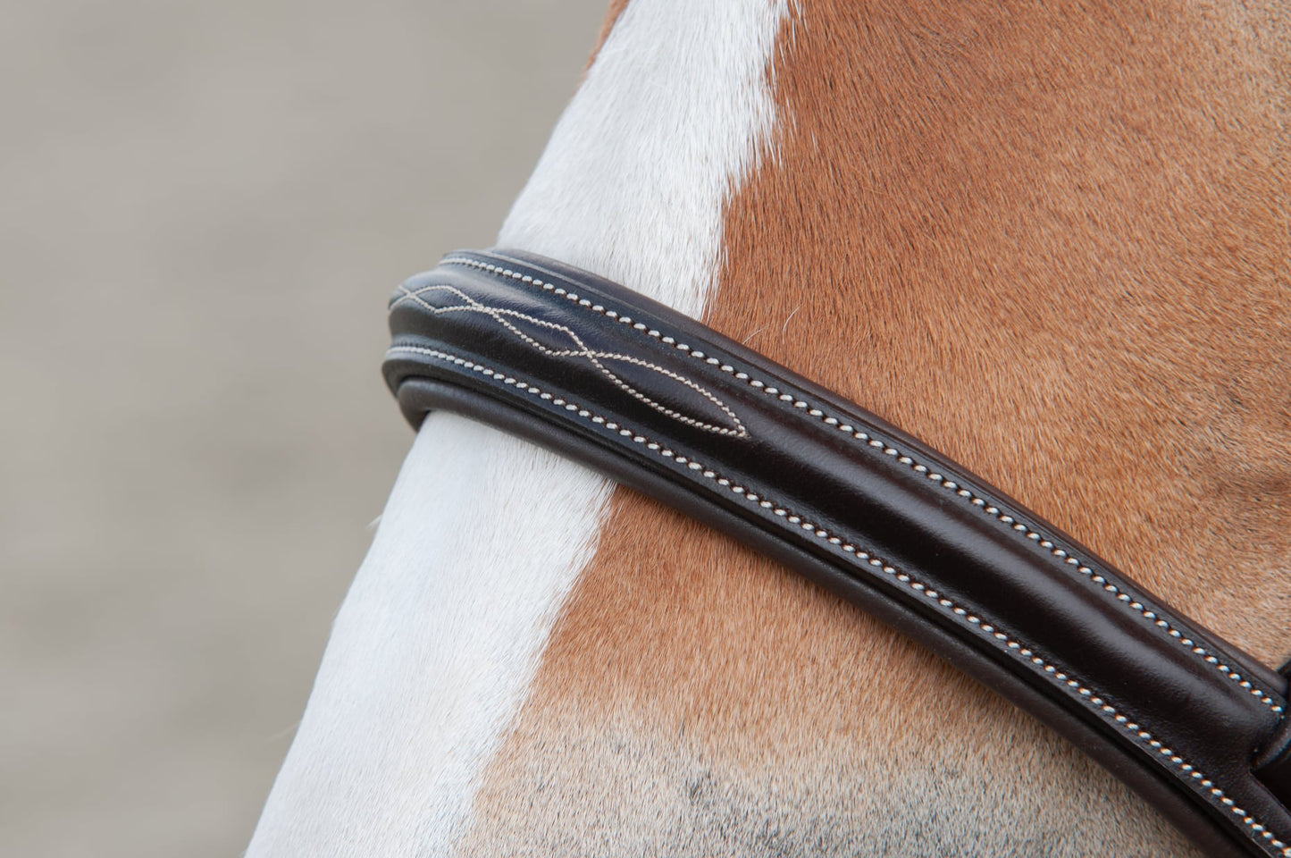 LoveLance - Sidepull Frio