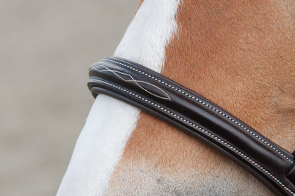 LoveLance - Sidepull Frio