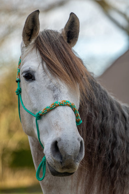 Rope halter emerald jungle
