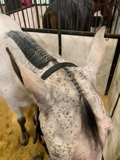 Horse Grooming - Super Bands starke Haargummis für Pferde