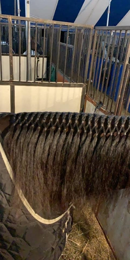 Horse Grooming - Super Bands starke Haargummis für Pferde