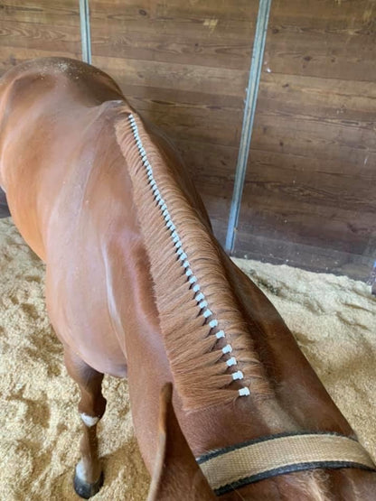 Horse Grooming - Super Bands starke Haargummis für Pferde