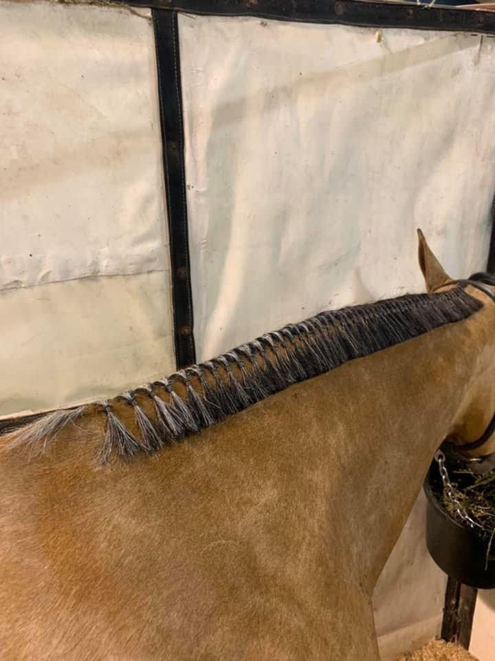 Horse Grooming - Super Bands starke Haargummis für Pferde