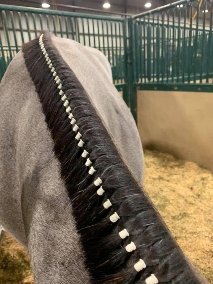 Horse Grooming - Super Bands starke Haargummis für Pferde