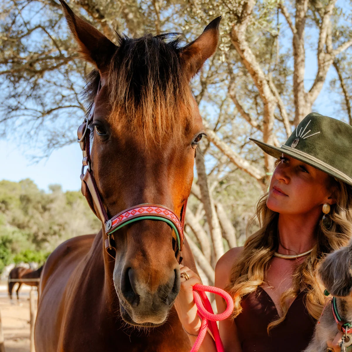 DWAM - Luxury buffalo leather halter with beads Sweet Mae