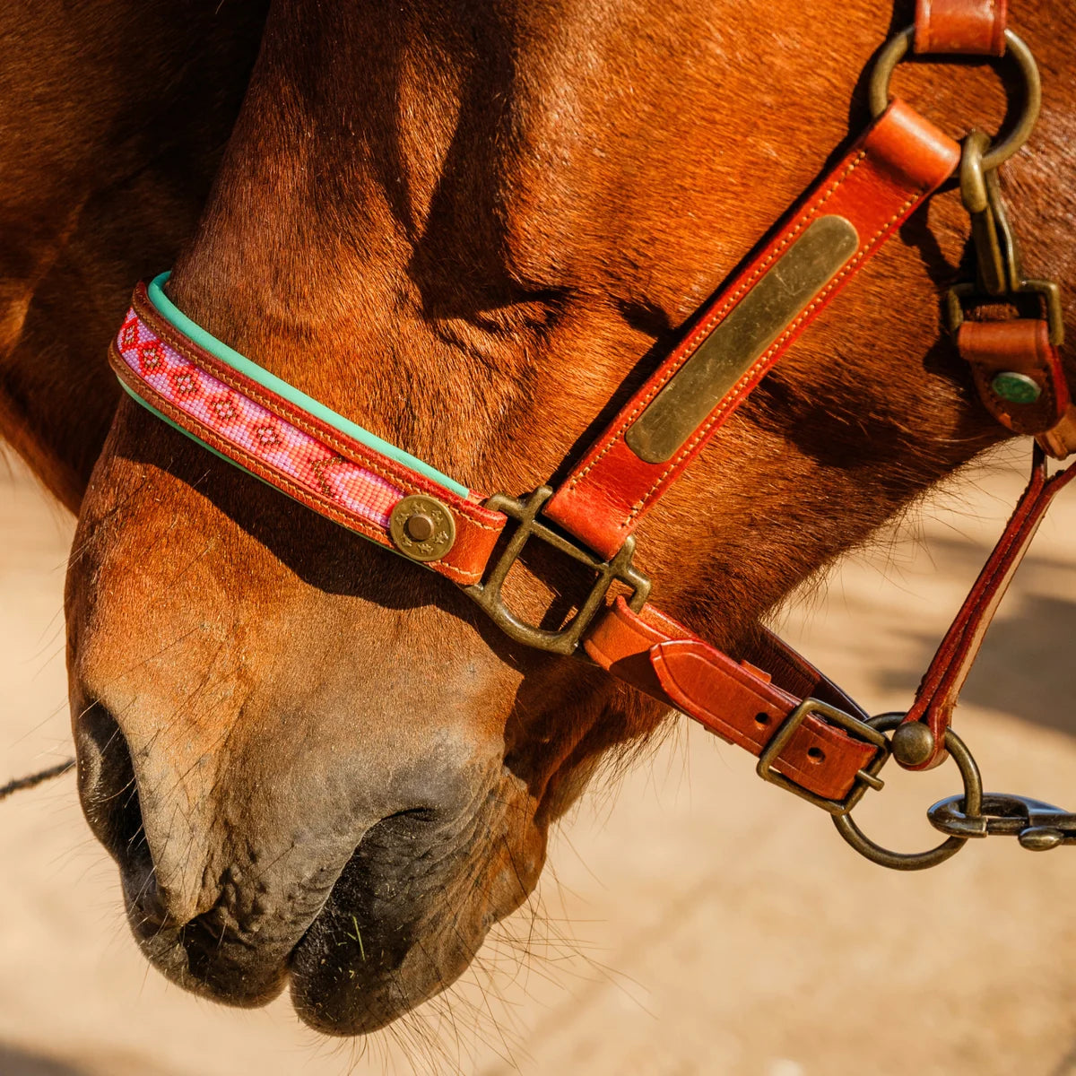 DWAM - Luxury buffalo leather halter with beads Sweet Mae