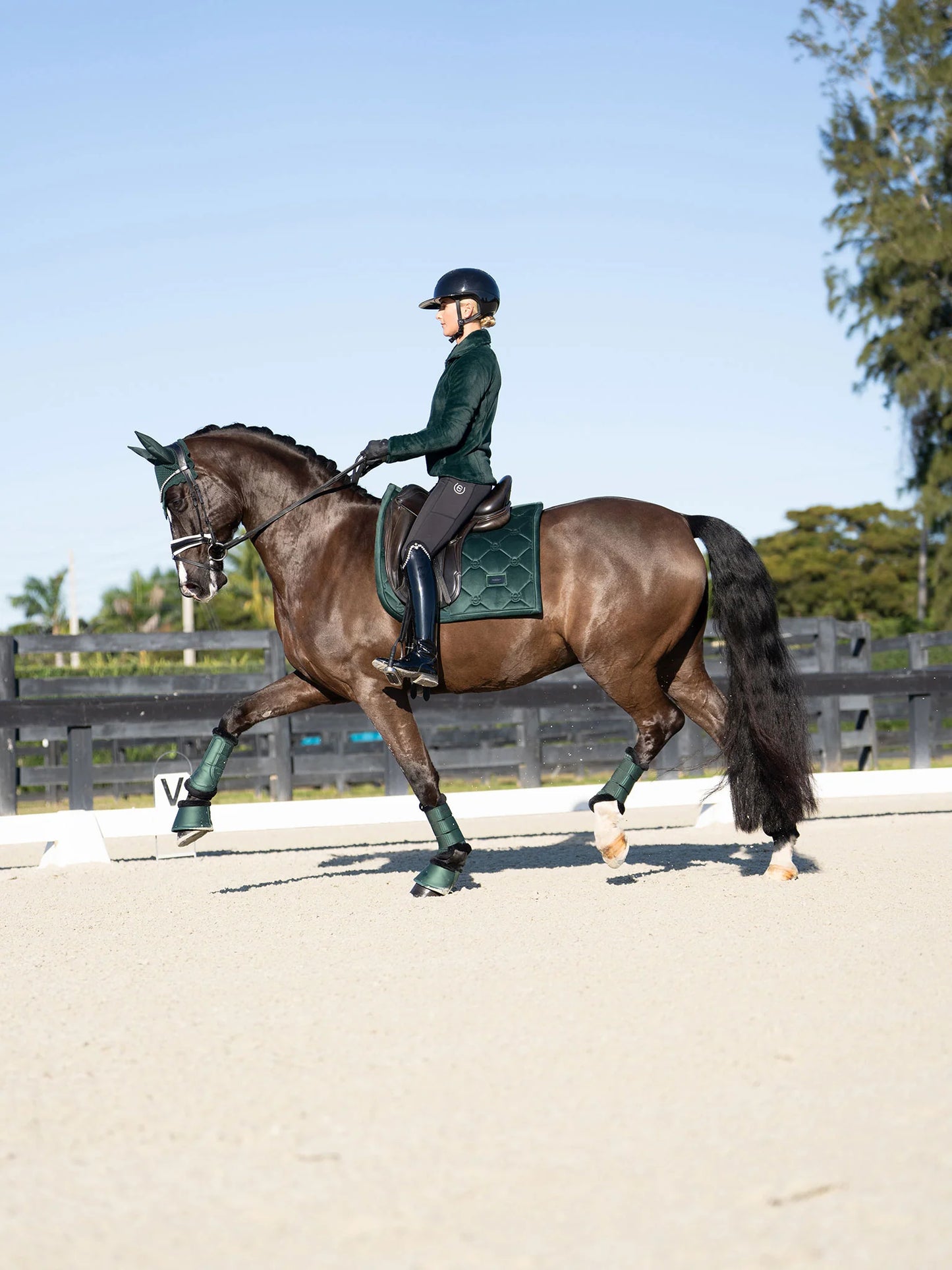 Equestrian Stockholm - FW26 Sycamore Green - Dressage Saddle Pad Velvet dressuurzadeldek